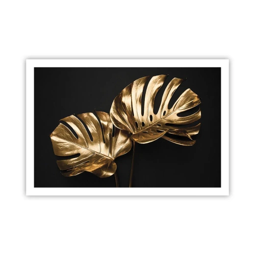 Plagát - Poklady prírody - 91x61 cm