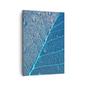 Obraz na plátne - Modrý život - 50x70 cm