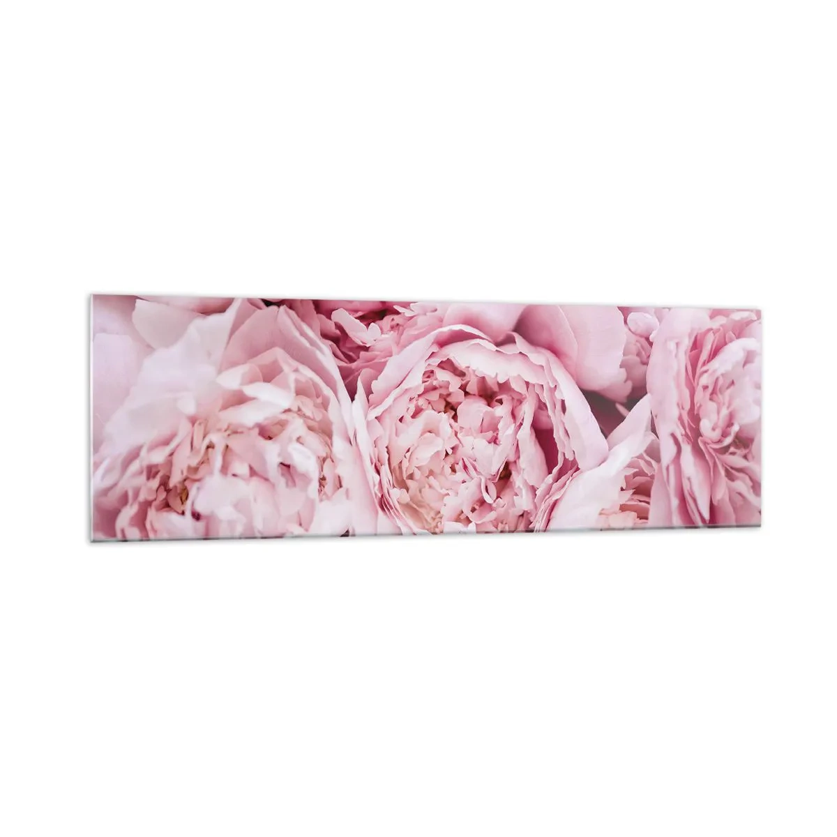 Obraz na skle - Pritúlené a voňavé - 160x50 cm