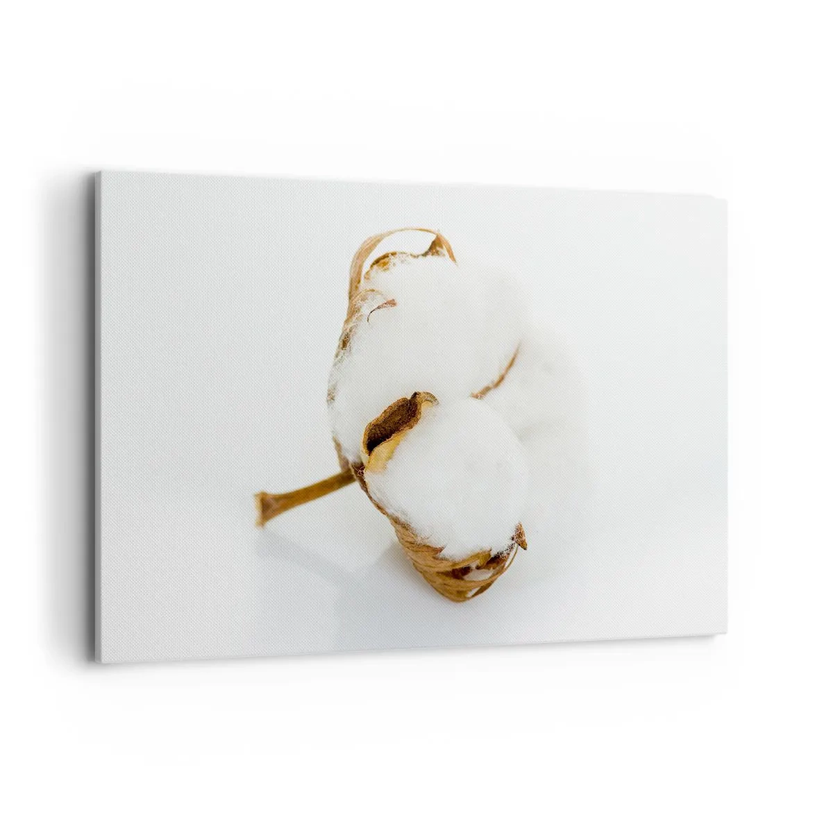 Obraz na plátne - Mäkká od prírody - 120x80 cm