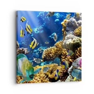 Obraz na plátne - Veľká prevádzka na prázdninovom chodníku - 30x30 cm