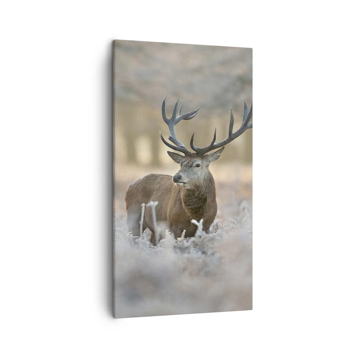 Obraz na plátne - Svieže ráno - 45x80 cm