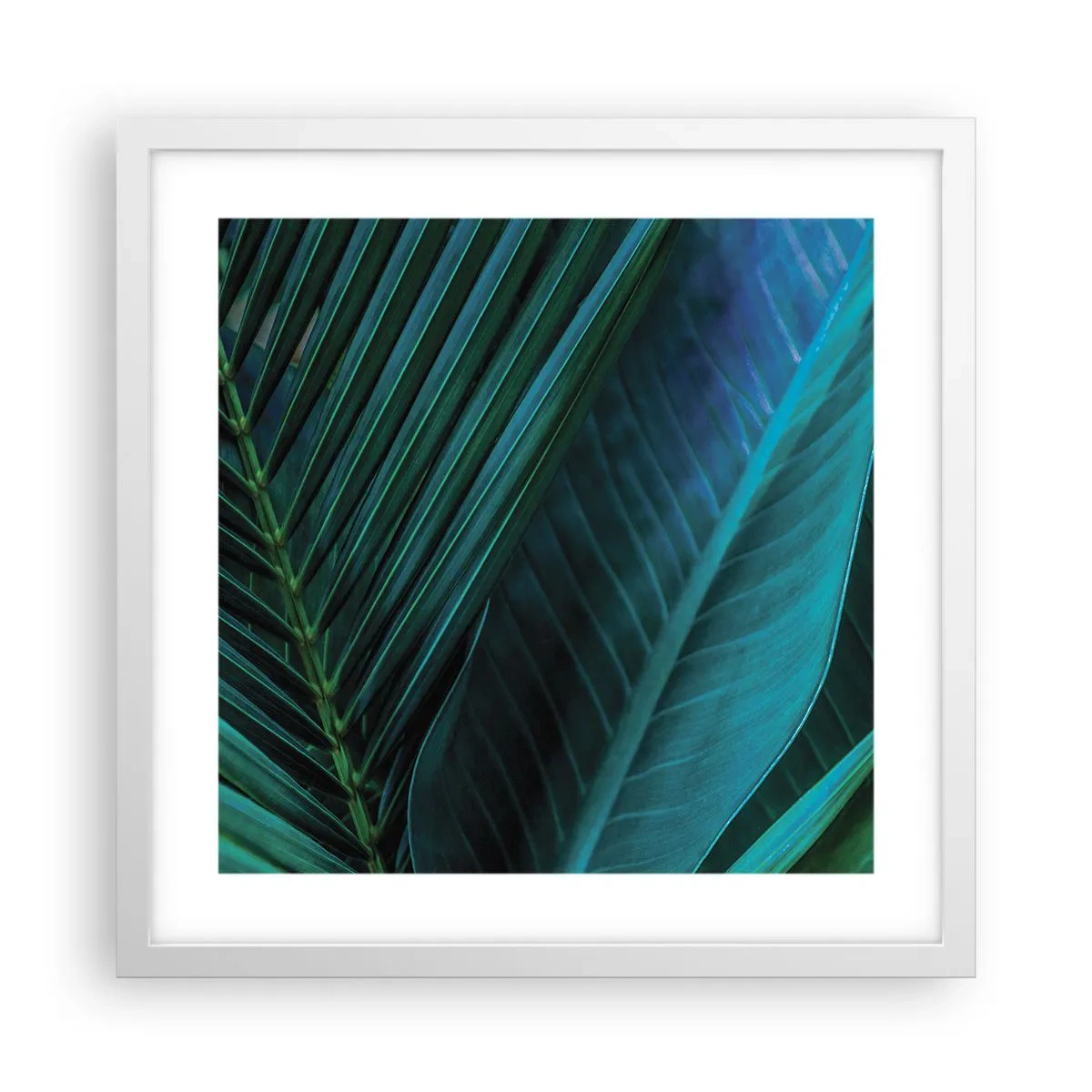 Plagát v bielom ráme - Anatómia zelene - 40x40 cm