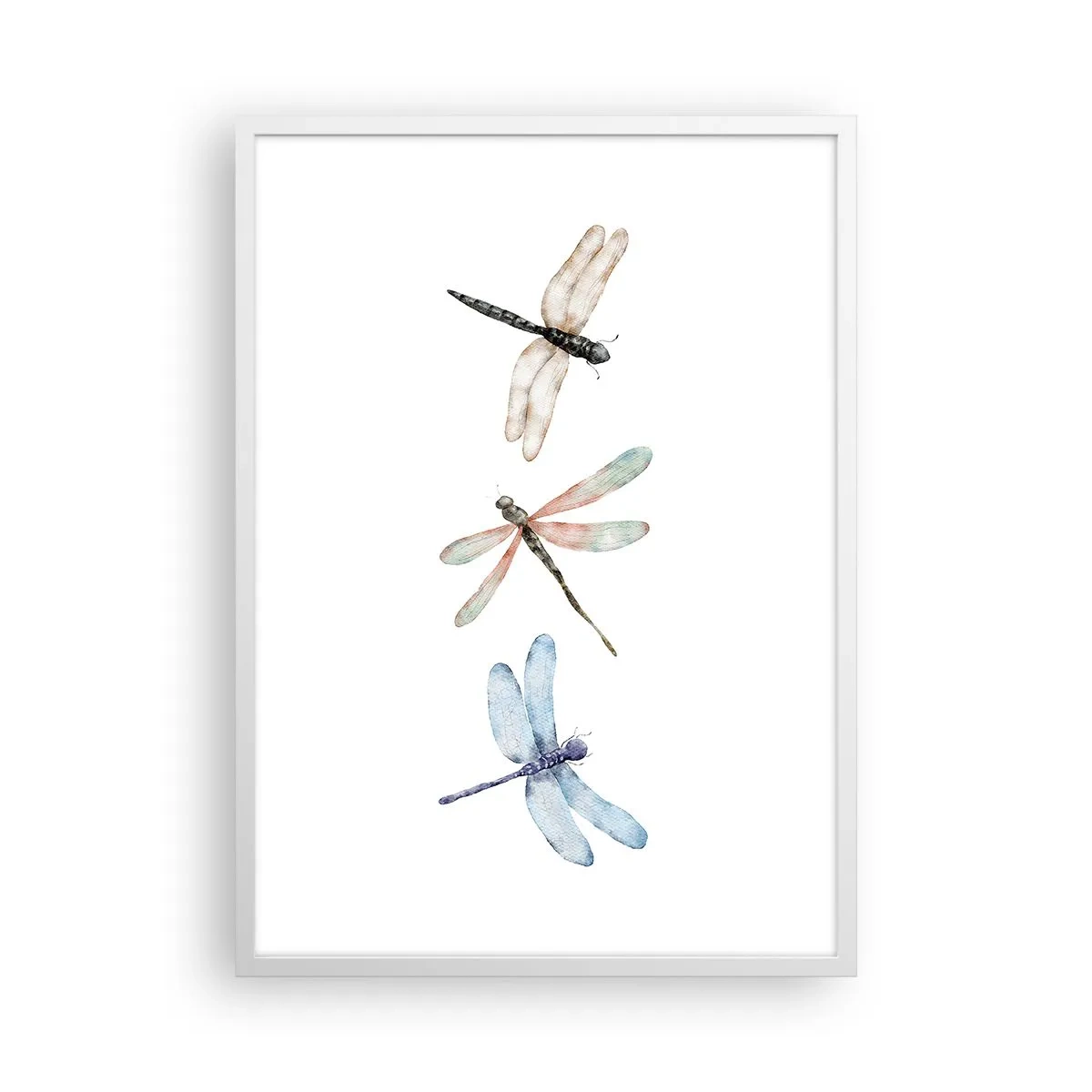 Plagát v bielom ráme - Beztiažové vážky - 50x70 cm