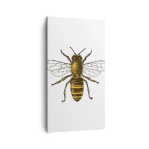 Obraz na plátne - Krásna a dobrá - 45x80 cm