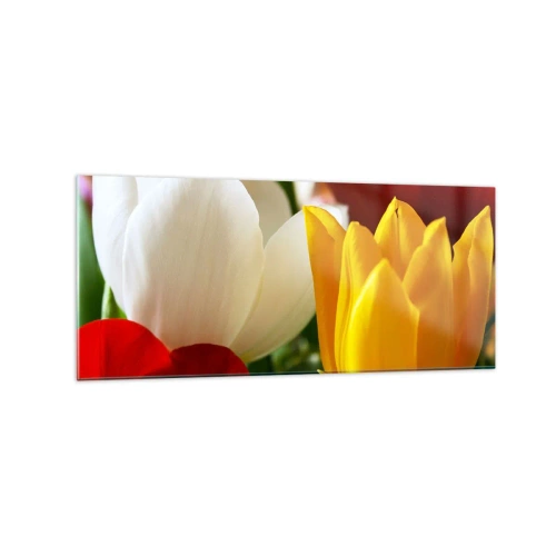 Obraz na skle - Tulipánová horúčka - 120x50 cm