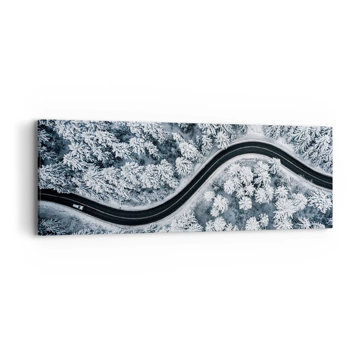 Obraz na plátne - Zimným lesom - 90x30 cm