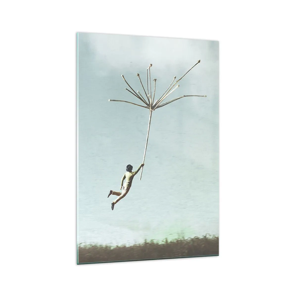 Obraz na skle - Lietajúca púpava - 70x100 cm