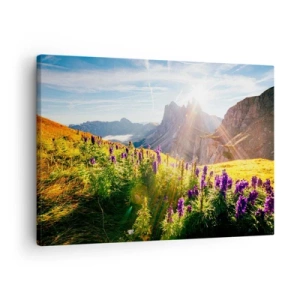 Obraz na plátne - Horská krajina s kvetmi vo svetle vychádzajúceho slnka - 70x50cm - Tajomný život bylín - Moderná nástenná dekorácia do obývacej izby a spálne ARTTOR