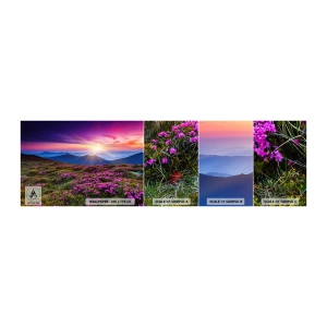 Vzorka Fototapeta Standard Eco - Zavoňali svieže púčiky byliniek z obilných polí - Krajina, hory, Kvety - 100x30 cm