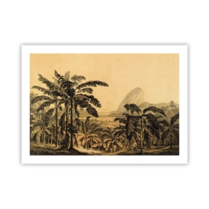 Plagát - V koloniálnom štýle - 70x50 cm