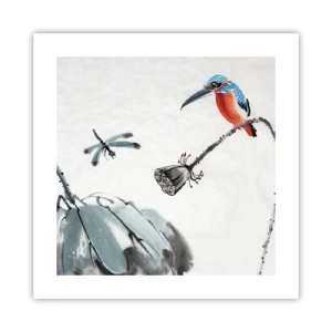 Plagát - Život lúky - 40x40 cm