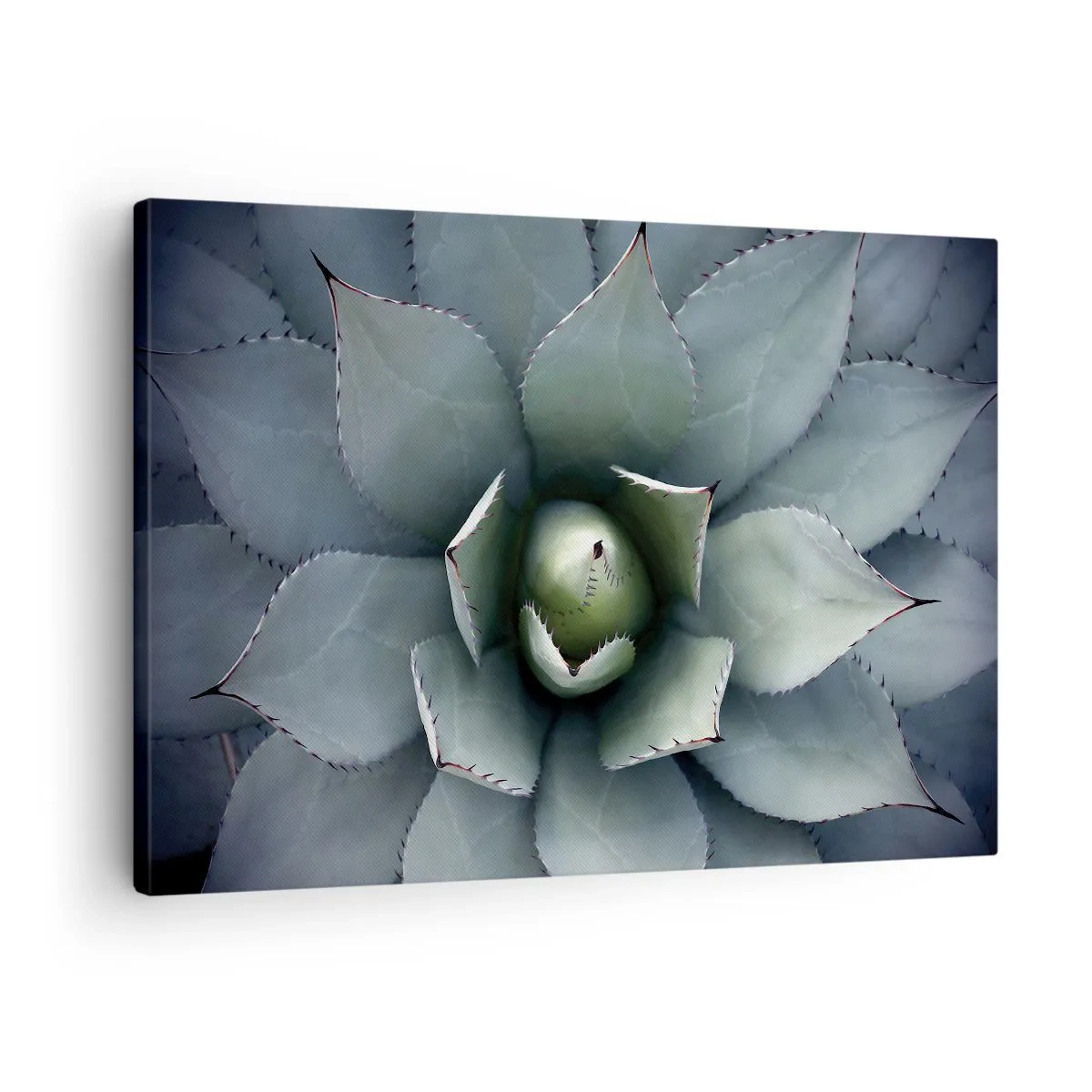 Obraz na plátne - Detailný záber na ružicu agáve v jemných odtieňoch zelenej - 70x50cm - Zvádza a varuje - Moderná nástenná dekorácia do obývacej izby a spálne ARTTOR