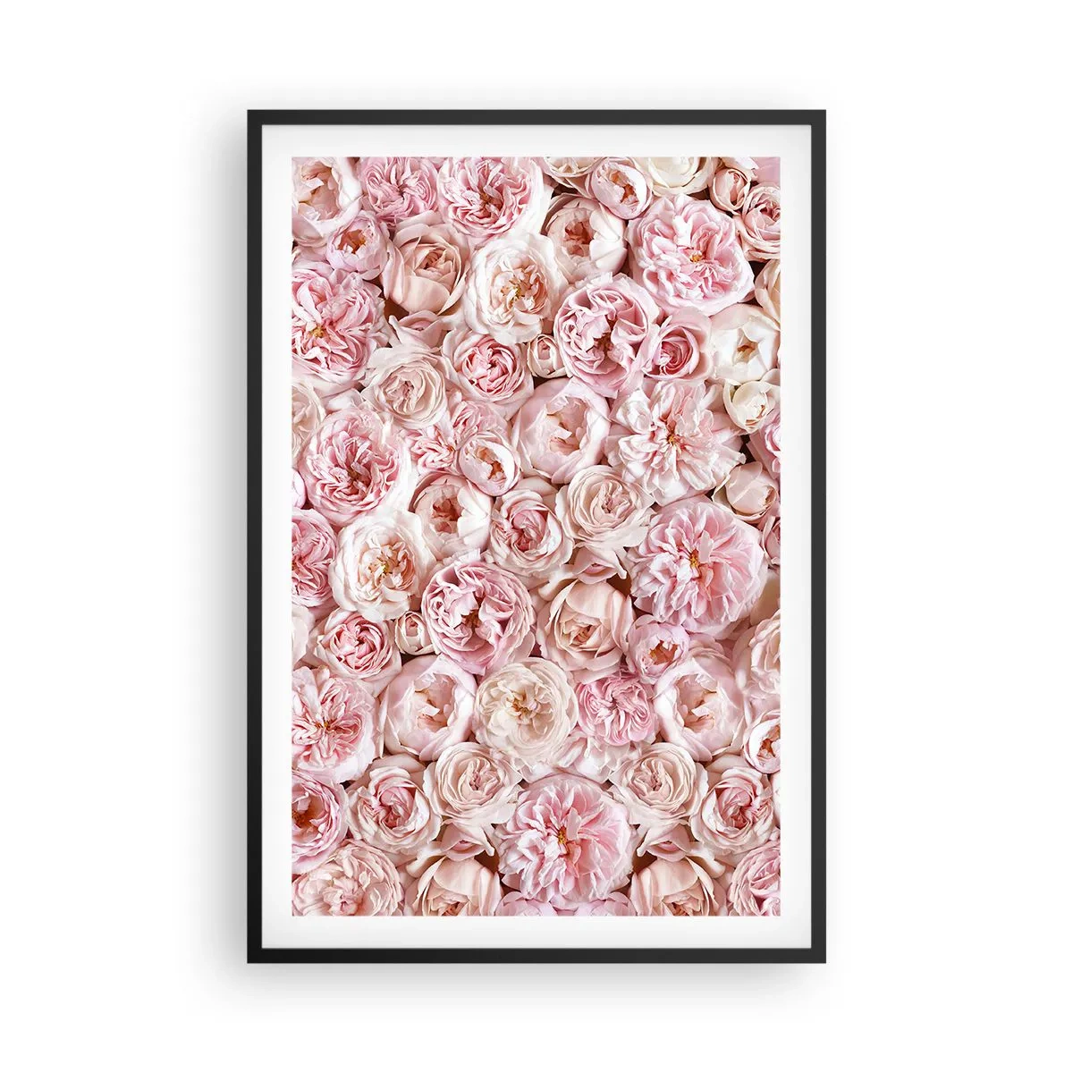Plagát v čiernom ráme - Vydláždená ružami - 61x91 cm