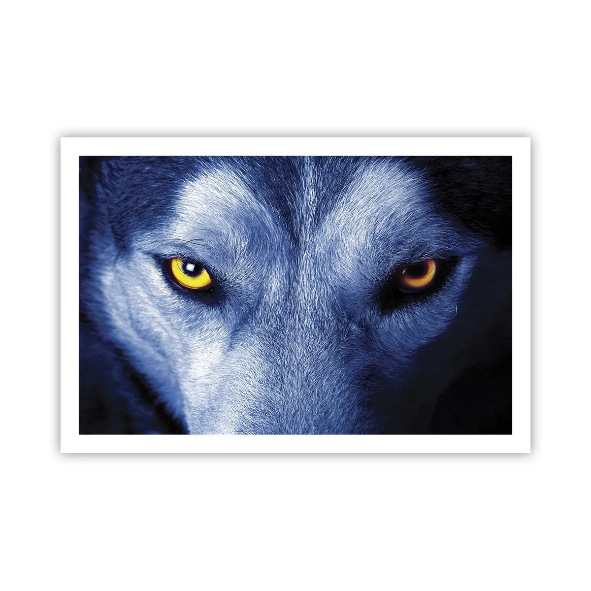 Plagát - Fascinujúci pohľad - 91x61 cm