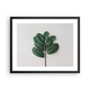 Plagát v čiernom ráme - Kresba samotnej prírody - 50x40 cm