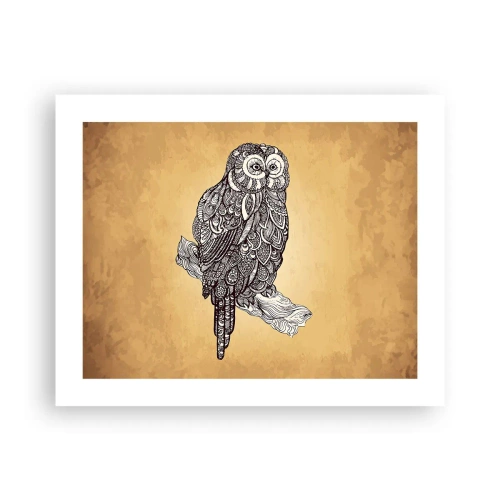 Plagát - Majstrovské ornamenty múdrosti - 50x40 cm