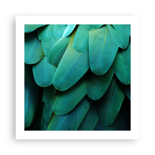 Plagát - Presnosť papagájovej povahy - 50x50 cm