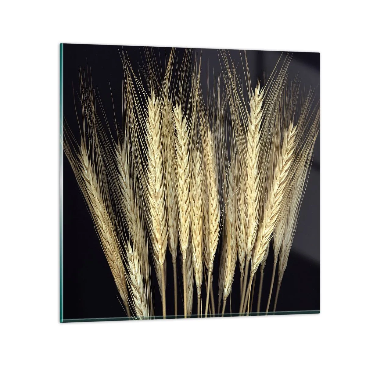 Obraz na skle - Rustikálna mágia - 60x60 cm