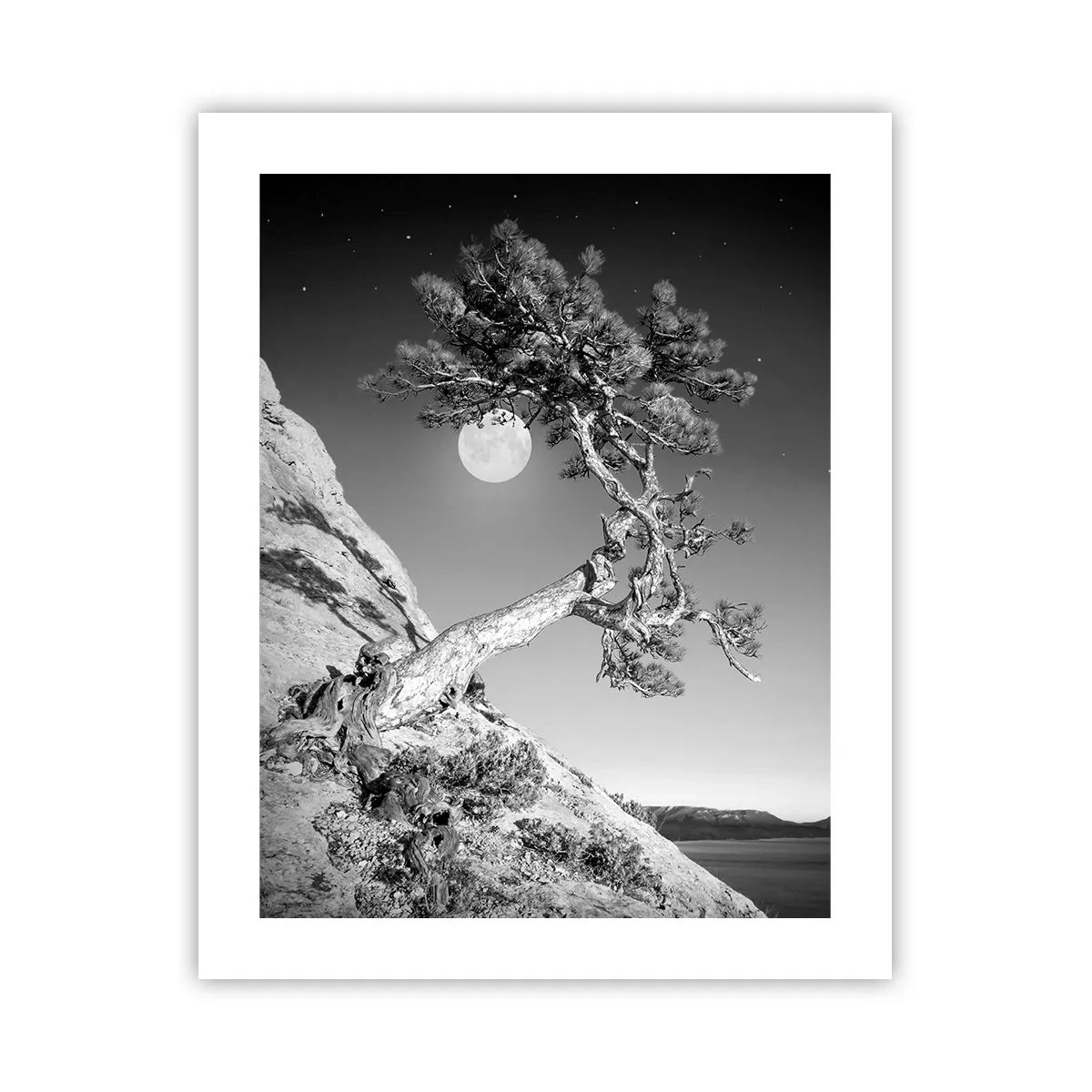 Plagát - Víťazná bojovníčka - 40x50 cm