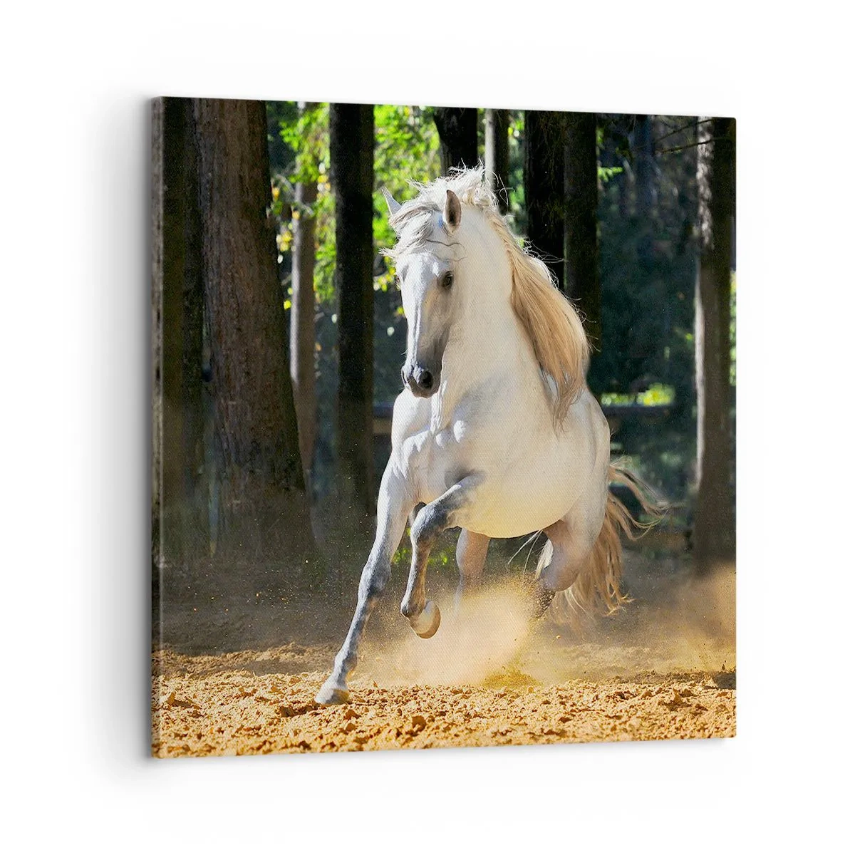 Obraz na plátne - Ako z fantasy románu - 60x60 cm