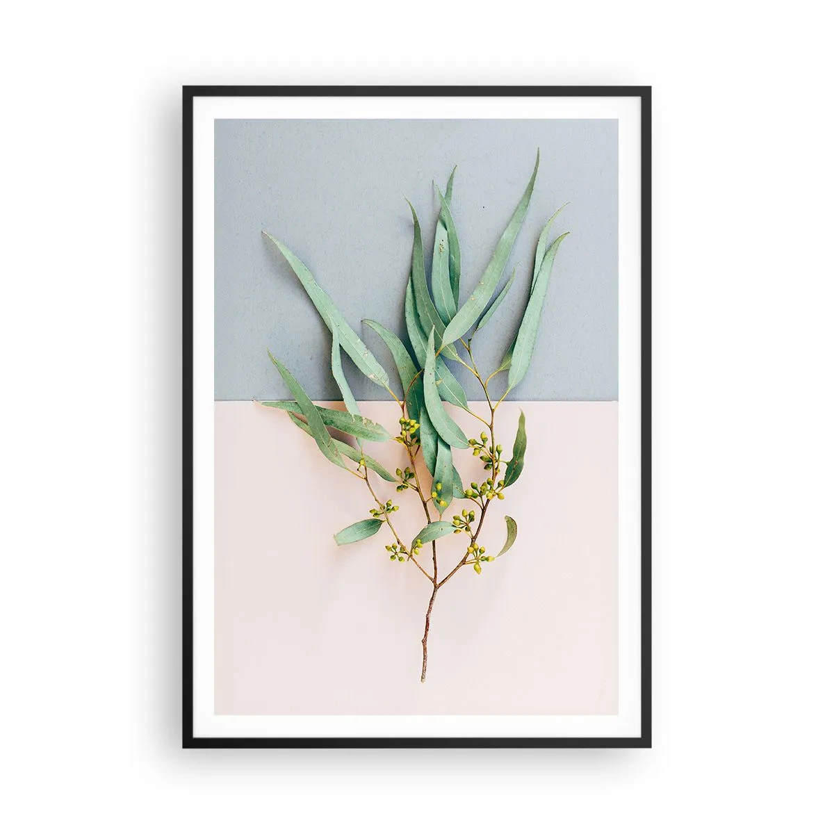 Plagát v čiernom ráme - Pastelová jemnosť - 70x100 cm