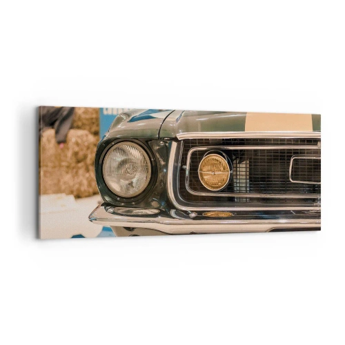 Obraz na plátne - Stretnutie s legendou - 100x40 cm