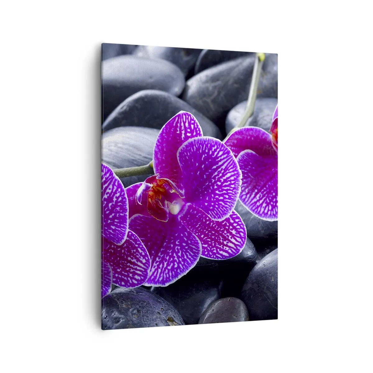 Obraz na plátne - Kamene sa rozžiarili nadšením - 70x100 cm