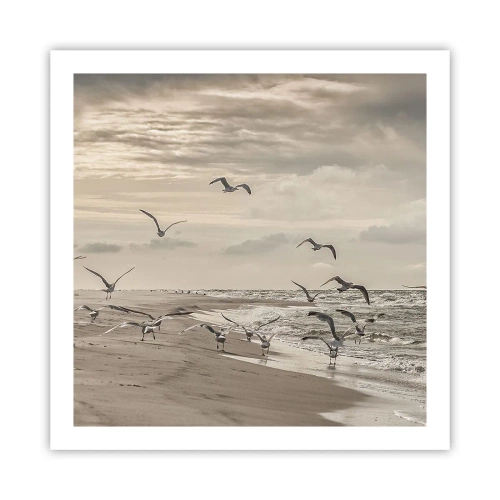 Plagát - Šumenie mora, spev vtákov - 60x60 cm
