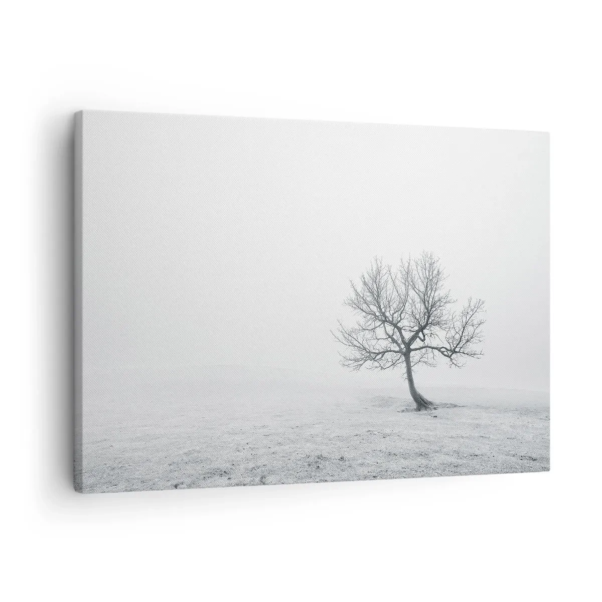 Obraz na plátne - Osamelý strom v zimnej hmle na prázdnom poli - 70x50cm - Proti ničote - Moderná nástenná dekorácia do obývacej izby a spálne ARTTOR