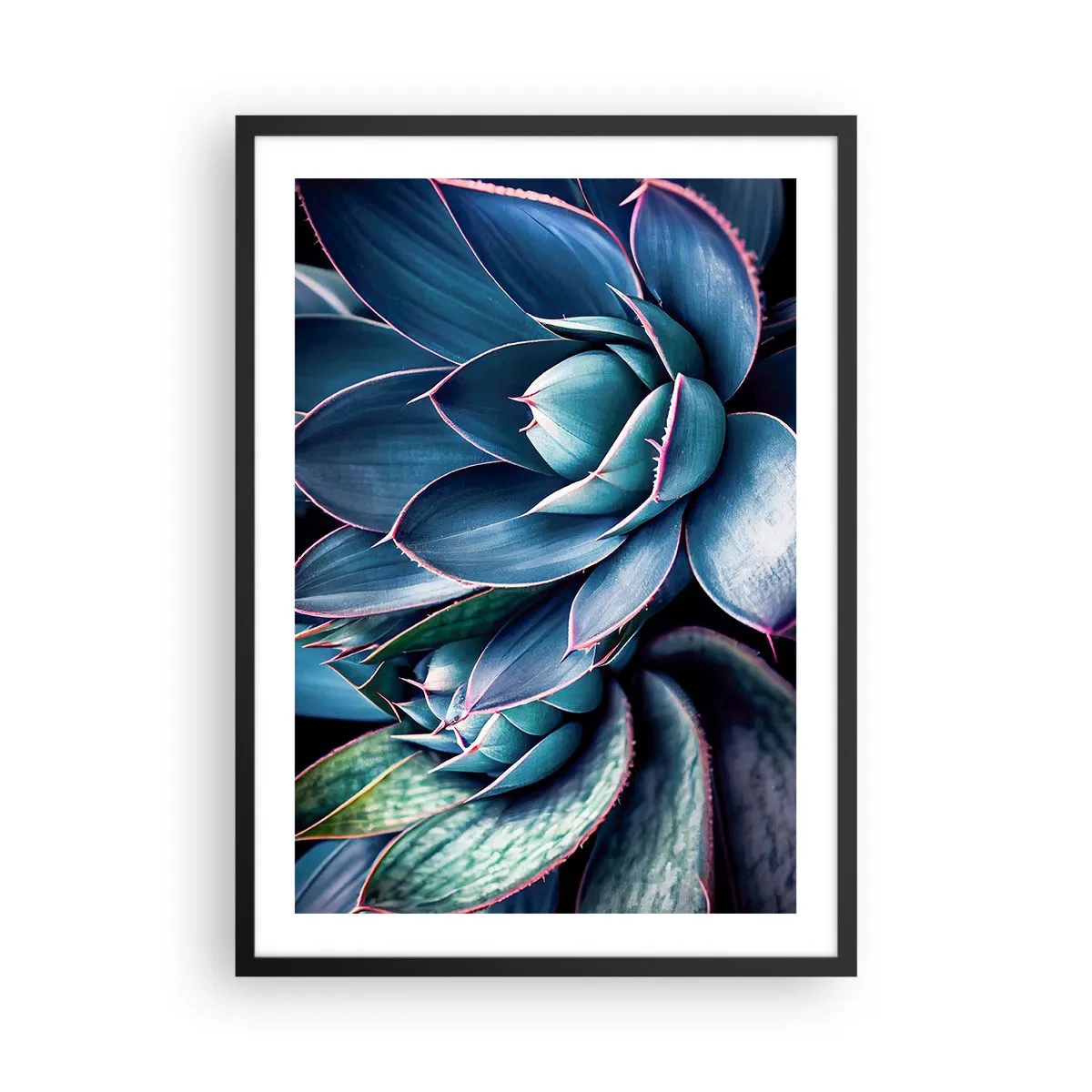 Plagát v čiernom ráme - Agáva v odtieňoch modrej a zelenej - 50x70cm - Vitálna sila - Moderná nástenná dekorácia do obývacej izby a spálne ARTTOR