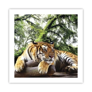 Plagát - S úctou - 50x50 cm