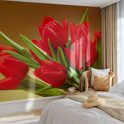 Fototapeta Premium Canvas - Púčik jarnej radosti - Kvety, Tulipány, Kytica kvetov - 300x210 cm