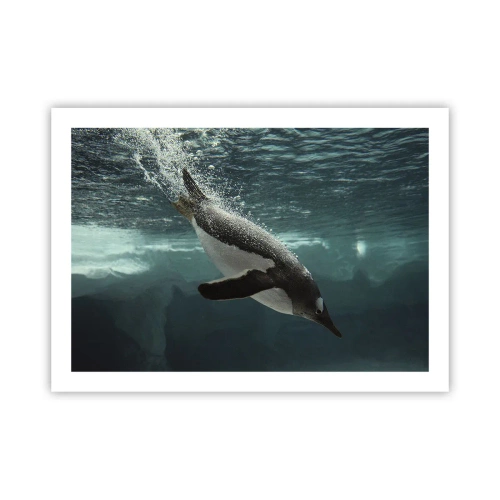 Plagát - Vitajte v mojom svete - 70x50 cm