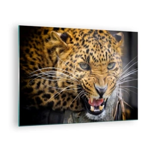 Obraz na skle - Detailný záber agresívneho leoparda s jasnými detailmi - 70x50cm - Nepribližuj sa, varujem! - Moderná nástenná dekorácia do obývacej izby a spálne ARTTOR