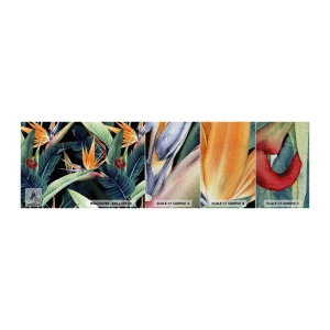 Vzorka fototapety Premium Canvas - Plamenné kvety trópov - Strelitzia Royal, Kvetina, Afriky - 100x30 cm