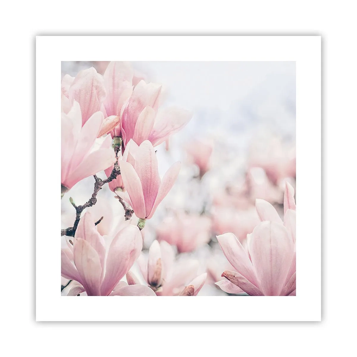 Plagát - Ideál jemnosti - 40x40 cm