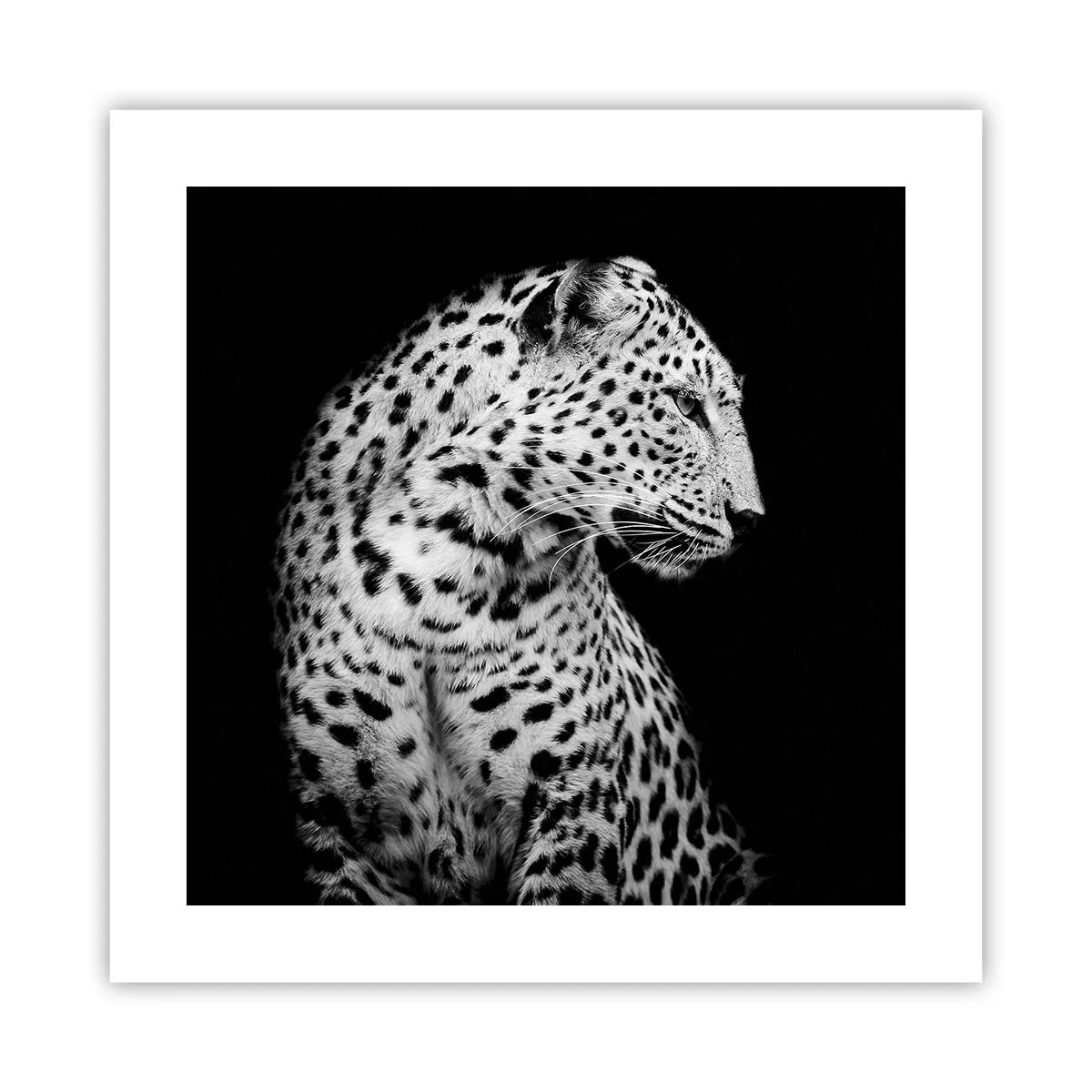 Plagát - Pravý profil perfektný! - 40x40 cm