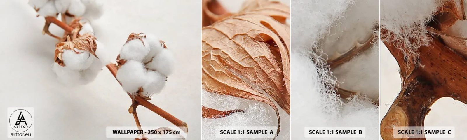 Vzorka samolepiacej fototapety Deluxe Sticker - Len objímať - Bavlnený kvet, Kvetina, Bavlnená vetvička - 100x30 cm