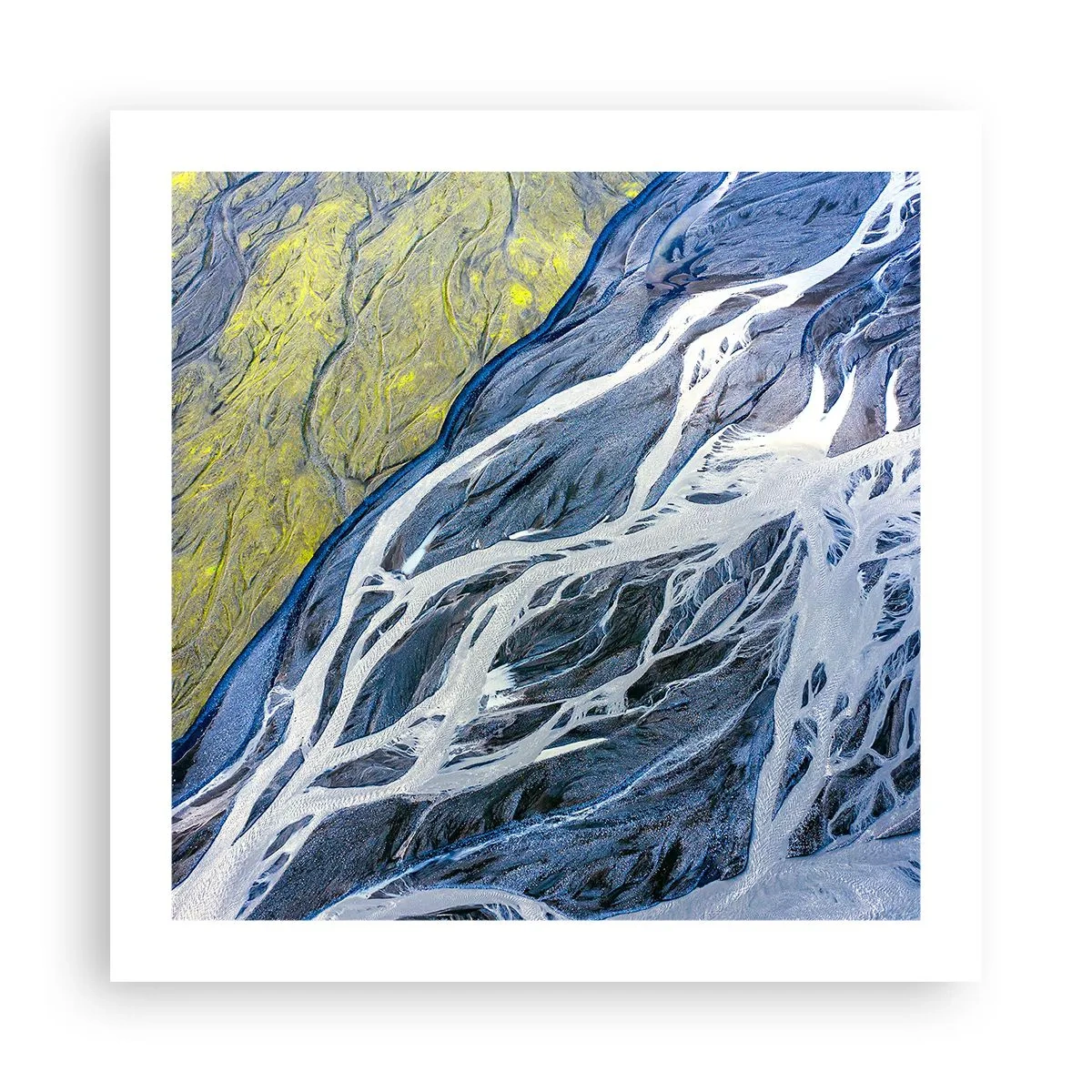 Plagát - Jaskynné maľby prírody - 50x50 cm