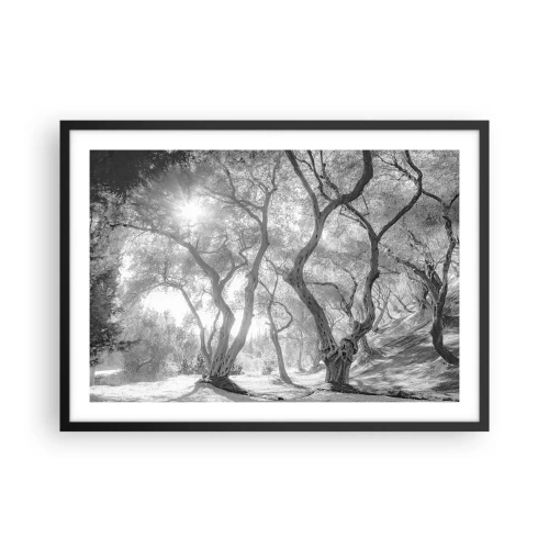 Plagát v čiernom ráme - V olivovom háji - 70x50 cm