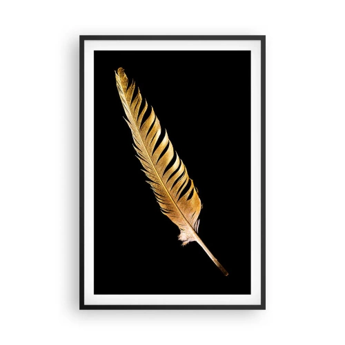 Plagát v čiernom ráme - Krásne pierko… - 61x91 cm