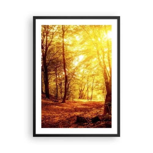 Plagát v čiernom ráme - Západ slnka osvetľuje jesenný les plný zlatých listov - 50x70cm - K zlatej čistinke - Moderná nástenná dekorácia do obývacej izby a spálne ARTTOR