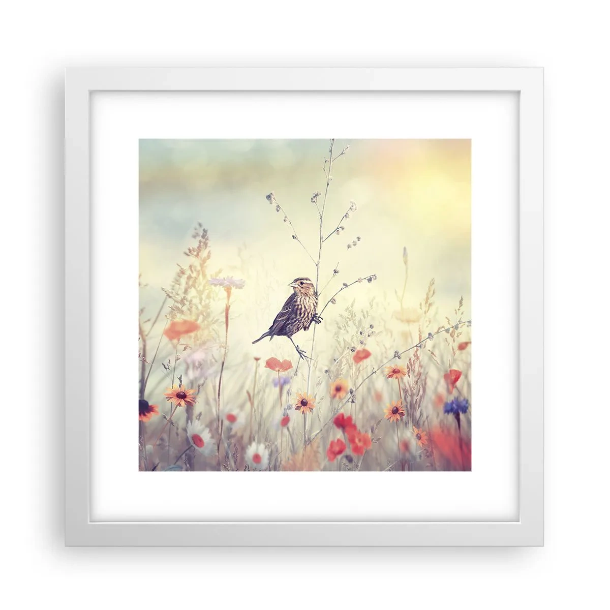 Plagát v bielom ráme - Portrét vtáka s lúkou v pozadí - 30x30 cm