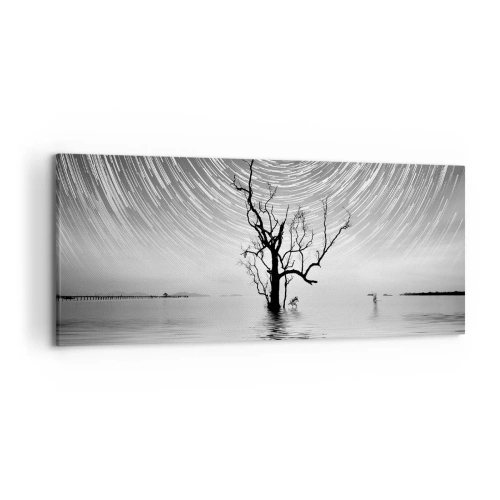 Obraz na plátne - Symfónia prírody - 120x50 cm