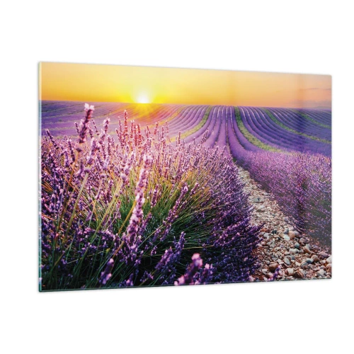 Obraz na skle - Voňavý lán - 120x80 cm