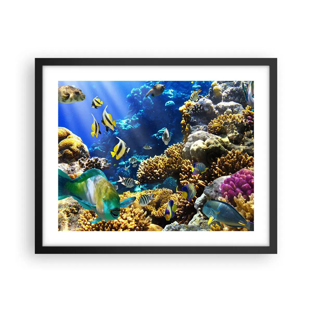 Plagát v čiernom ráme - Veľká prevádzka na prázdninovom chodníku - 50x40 cm