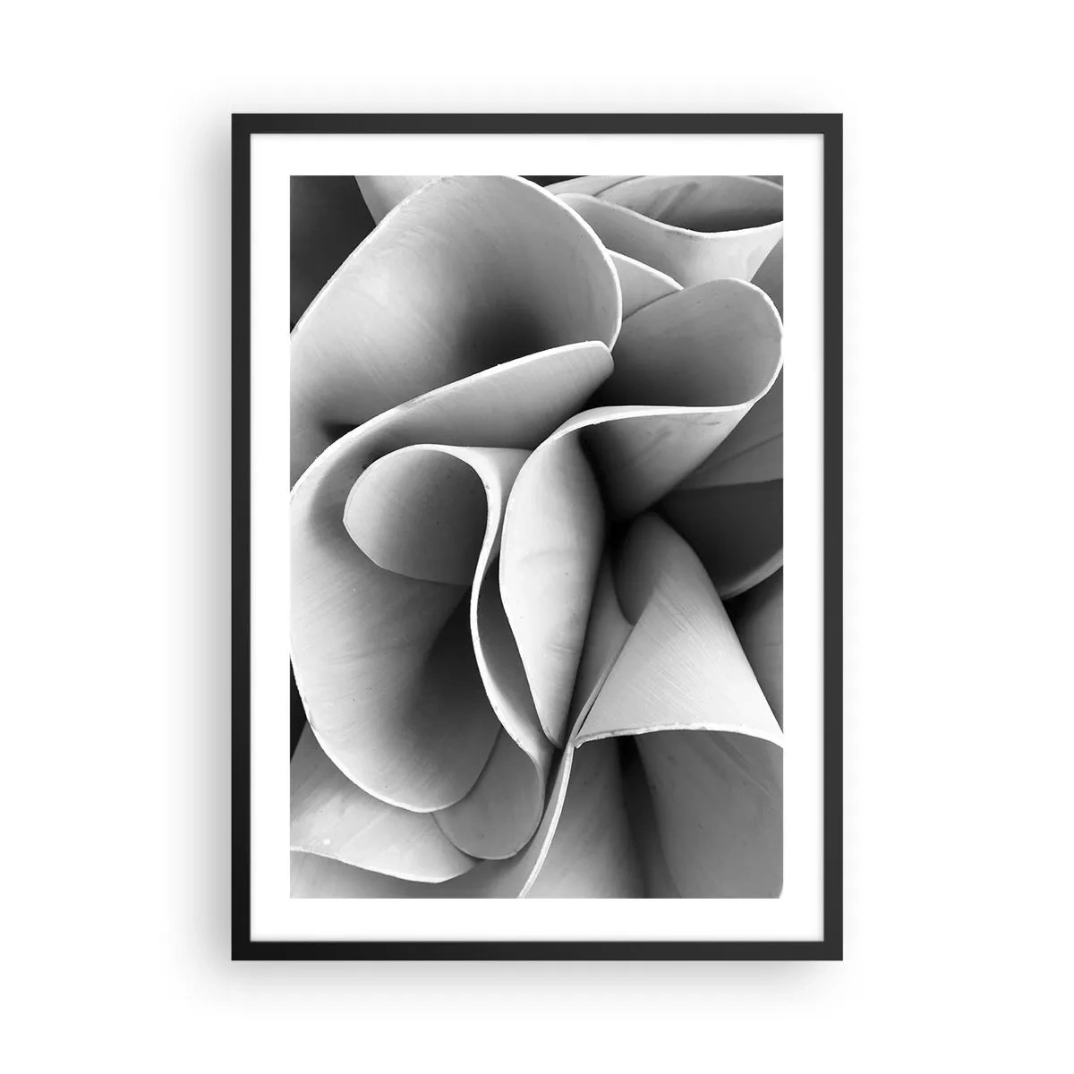 Plagát v čiernom ráme - Abstraktné okvetné lístky v odtieňoch sivej - 50x70cm - Deje sa vo vesmíre - Moderná nástenná dekorácia do obývacej izby a spálne ARTTOR