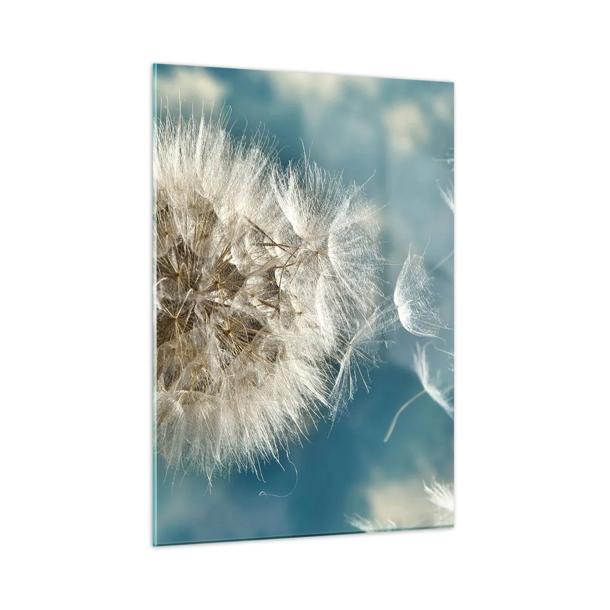 Obraz na skle - Dych anjela - 50x70 cm