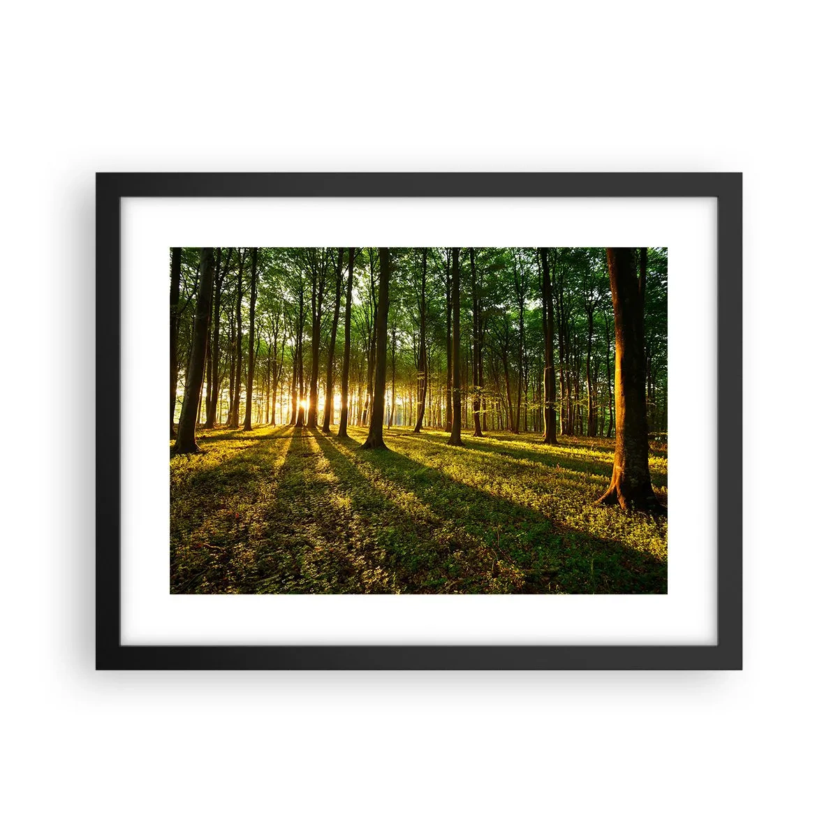 Plagát v čiernom ráme - Fotografie všetkých jarí - 40x30 cm